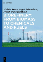 Biore´¼ünery From Biomass to Chemicals and Fuels.pdf